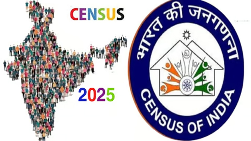 Census 1.jpg